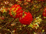 20070309 17.jpg